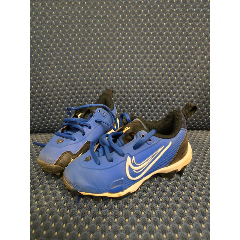 Blue Kid's 10K (Toddler) Youth Nike Low Top (Used)