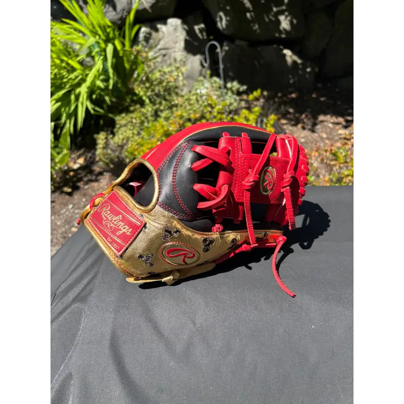2025 Rawlings Goldy IX Heart of the Hide