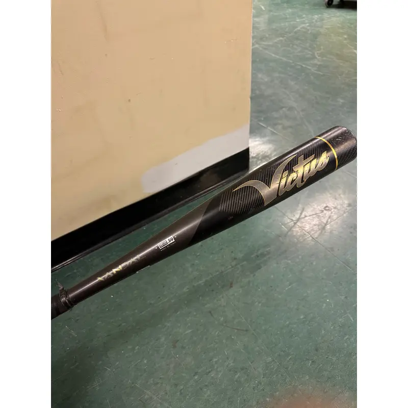 victims vandal baseball bat