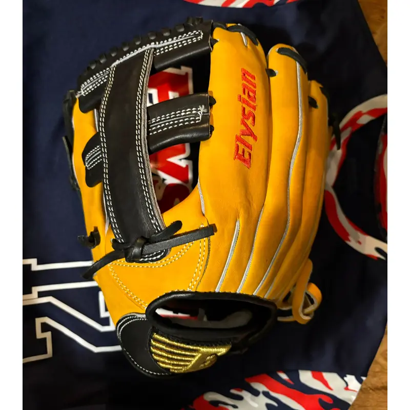 Elysian Pro Grade Kip Baseball glove