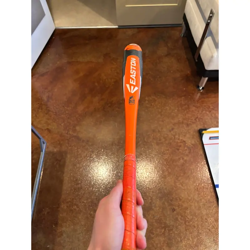 Easton USSSA Certified (-10) 19 oz 29" (Used) Bat