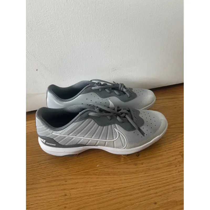 Gray Men's Size M 11.5 (W 12.5) Nike Low Top Metal (New)