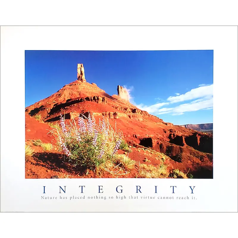 Desert Valley "Integrity" Motivational Poster - Front Line
