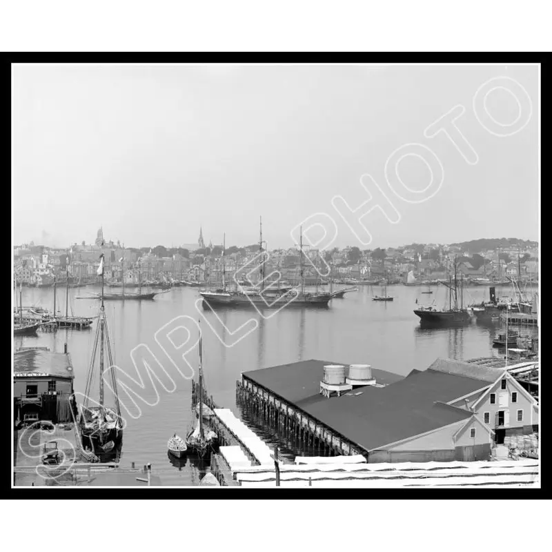 1905 Gloucester Massachusetts 8X10 Photo - Harbor - 2509