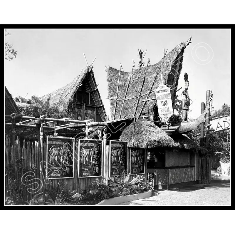 1963 Disneyland Tiki Room 11X14 Photo - 2481