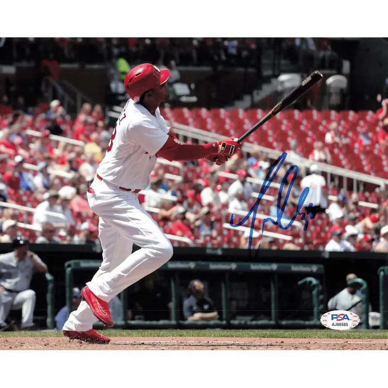 JOSE MARTINEZ signed 8x10 photo PSA/DNA St. Louis Cardinals Autographed