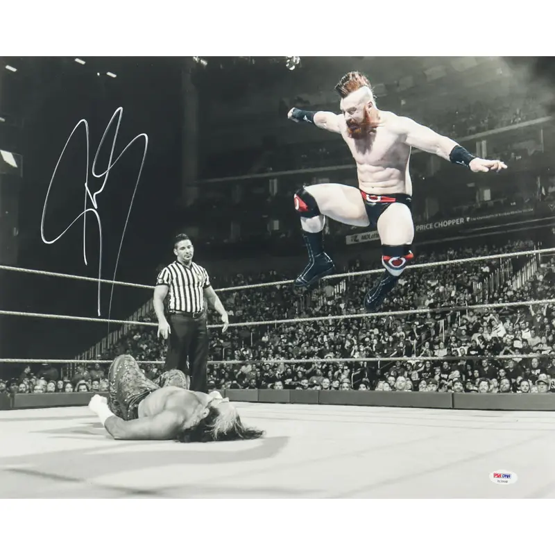 Sheamus Signed WWE 16x20 Framed Photo (PSA)