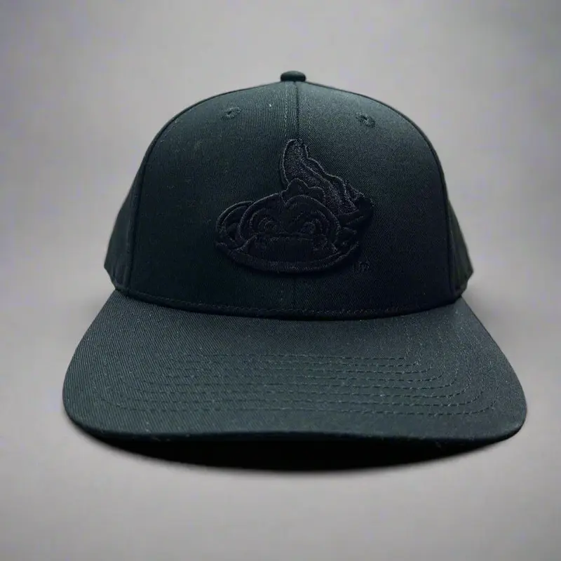 Black on Black Premium Modern Trucker Solid Back