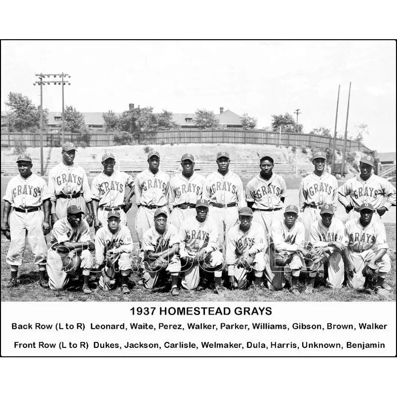 1937 Homestead Grays 8X10 Photo - Gibson Dandridge Leonard Day - 60