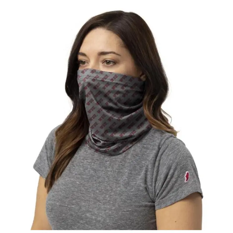Gray Washington State Gaiter Mask