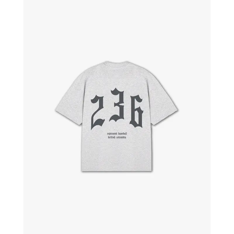 THE (236) VANQUISH BASEBALL V2 ELITE TEE