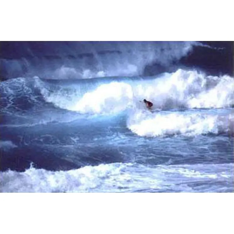 "Surf Hawaii" - Nuova 2001