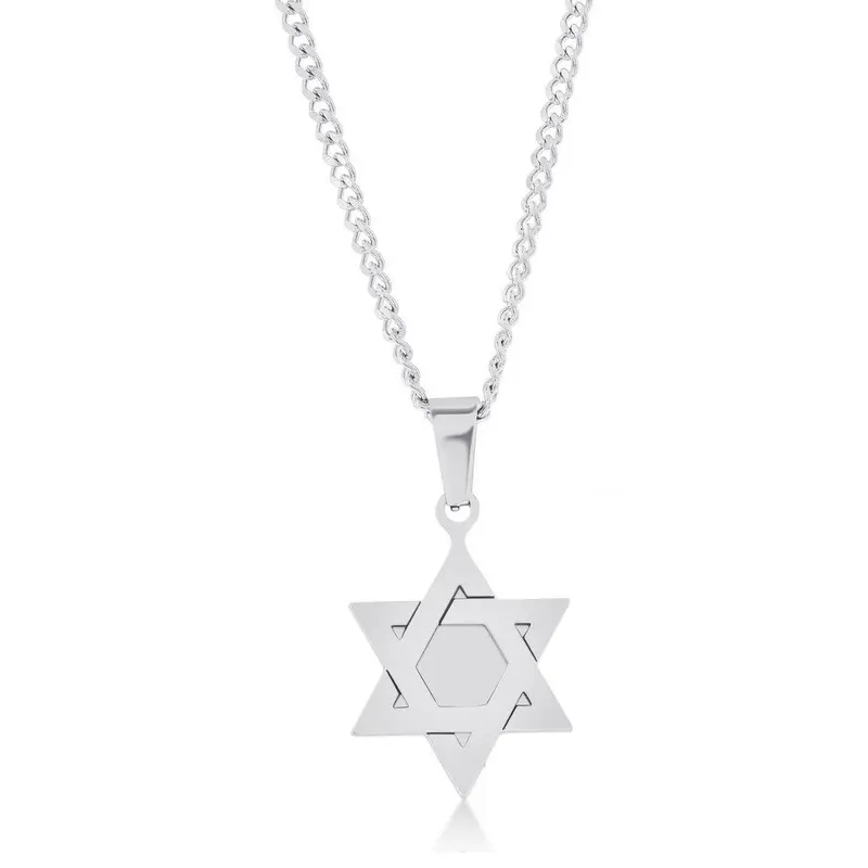 Stainless Steel Polished Star of David Necklace