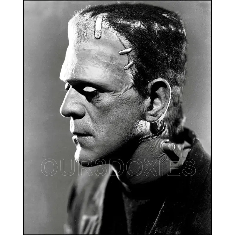 1935 Boris Karloff 8X10 Photo - Bride Of Frankenstein - 3197