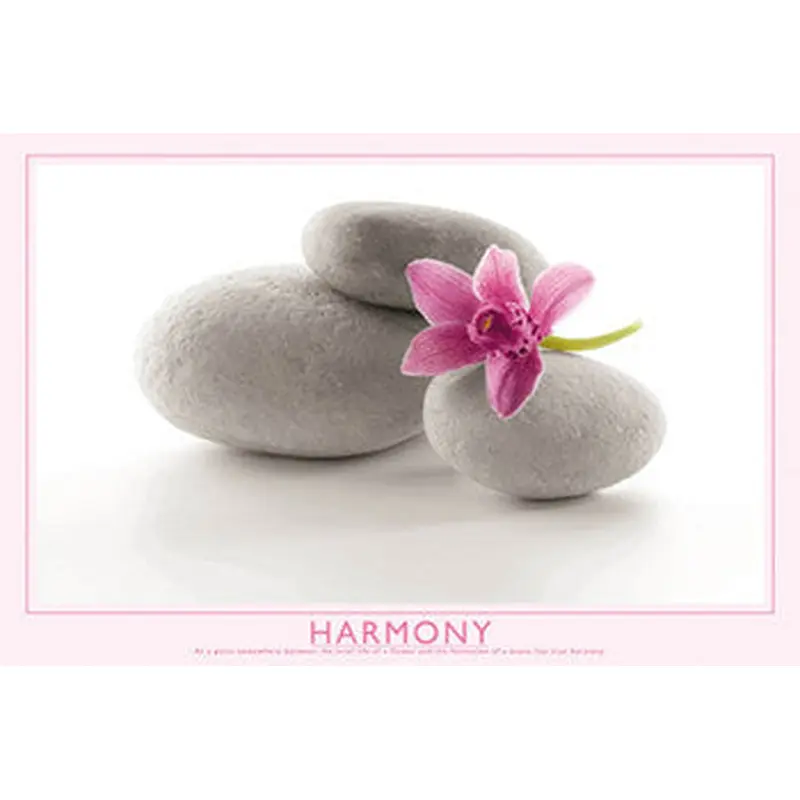 Flower and Stone "Harmony" Inspirational Poster - Wizard & Genius