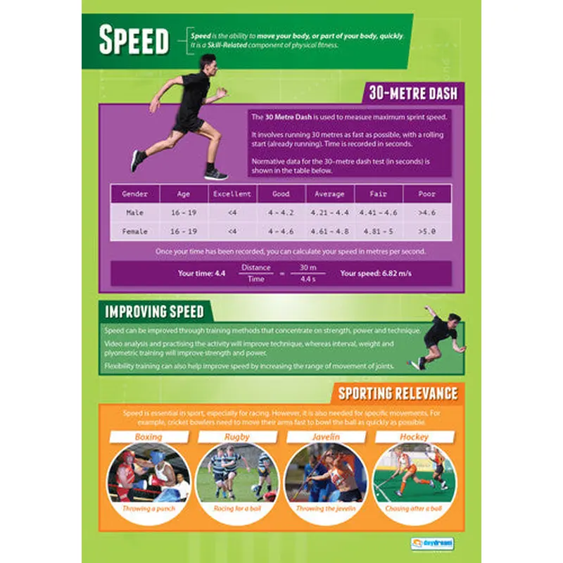 Physical Education SPEED Professional Fitness Wall Chart Poster - Posterfit
