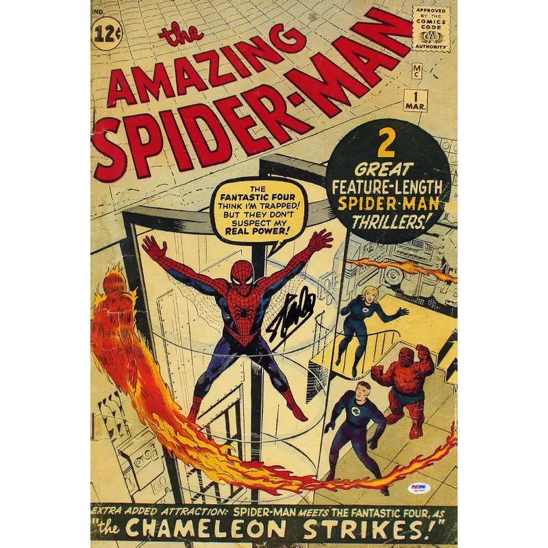 Stan Lee Marvel Signed 16x24 The Amazing Spider-Man Canvas PSA/DNA Itp #6A20986