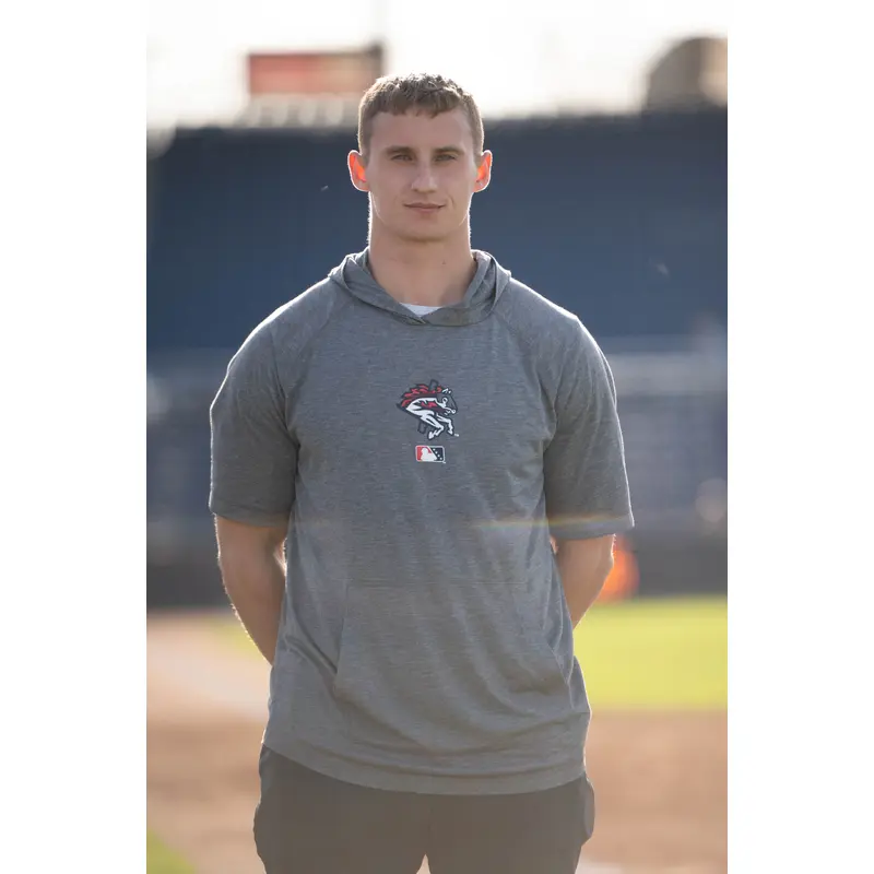 BRP NIKE S/S Performance Gray Hoodie With Carousel Horse