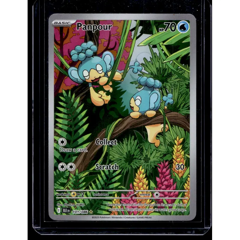 2025 Pokemon - Scarlet & Violet - Black Bolt - Illustration Rare - Panpour #101