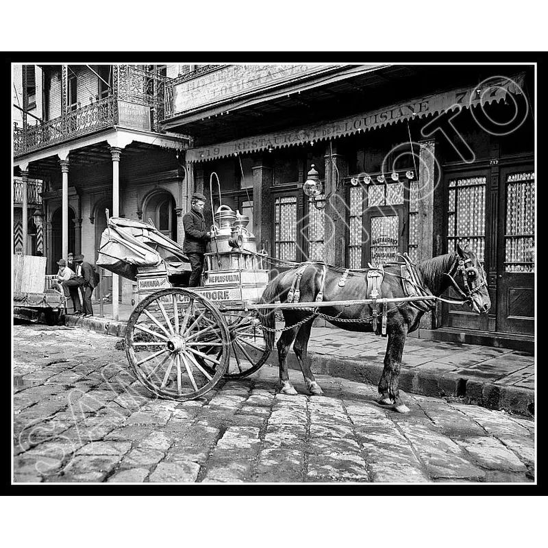1903 New Orleans Louisiana Milk Cart 8X10 Photo - 2548