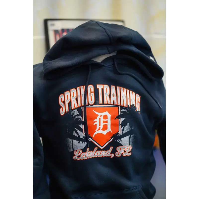Detroit Tigers Men's Team/City Hoodie