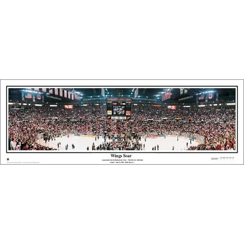 Detroit Red Wings "Wings Soar" 2002 Stanley Cup Champs Panoramic Poster - Everlasting