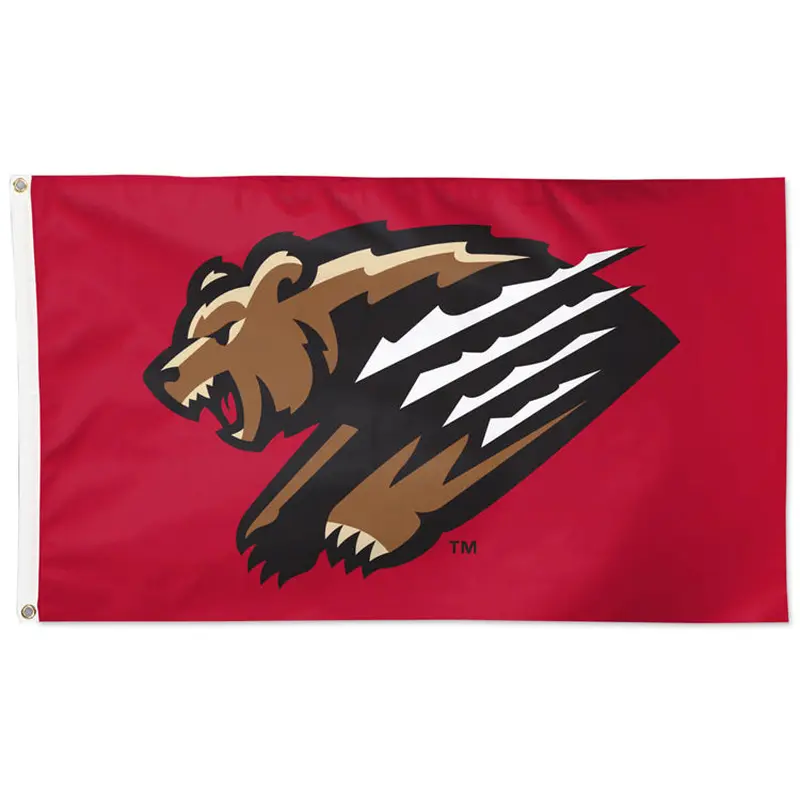 Fresno Grizzlies Official Minor League Baseball 3'x5' Flag - Wincraft