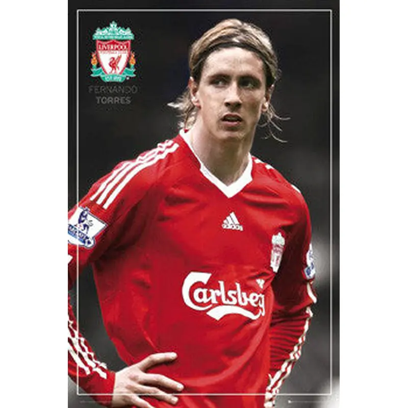 Fernando Torres "Intensity" Liverpool FC Soccer Poster - GB Eye 2008