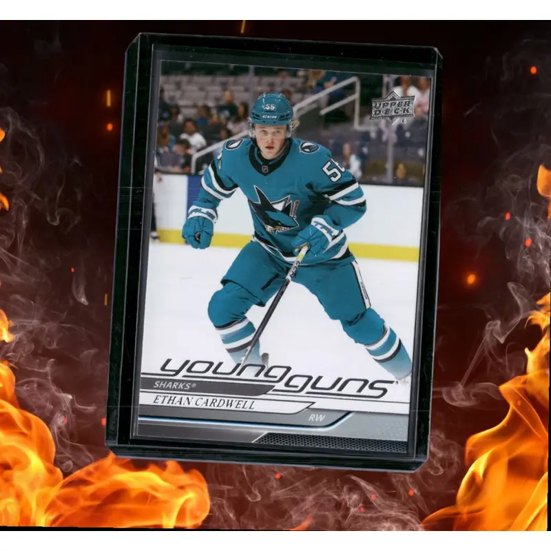 2024-25 Upper Deck Ethan Cardwell Young Guns (B) Rookie #459