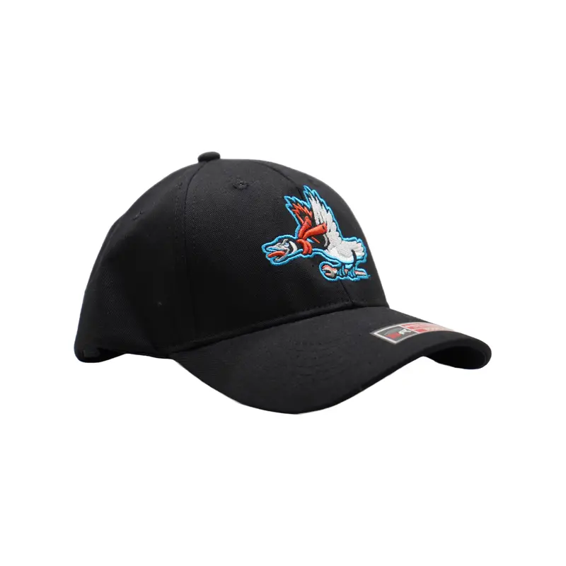 Beloit Sky Carp Bimm Ridder Black Twill Youth Home Hat