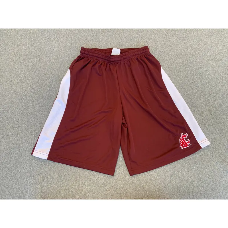 Youth Embroidered Basketball Shorts