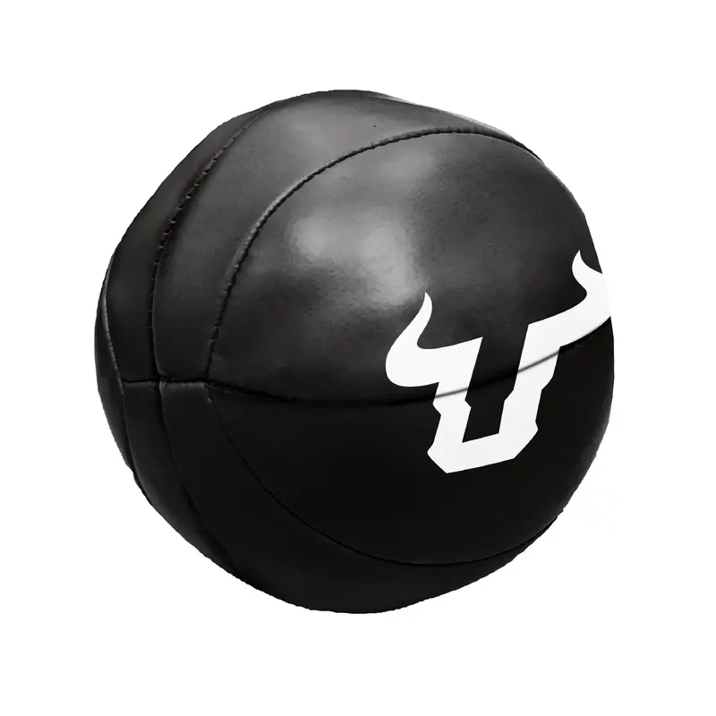 South Florida  4 in. Micro Soft Basketball