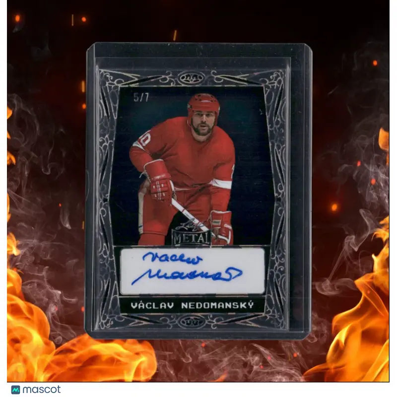 2024-25 Leaf Metal Vaclav Nedomansky Silver Border Clear Auto 5/7 #BA-VN1