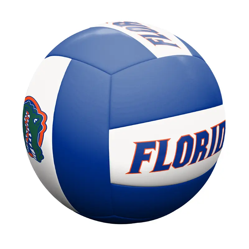 Florida Volleyball