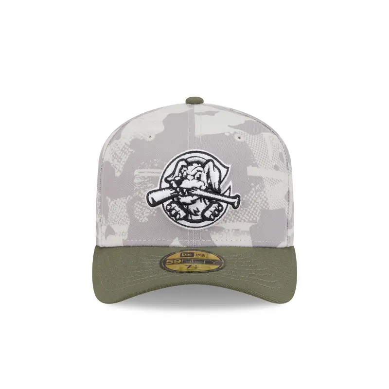 Charleston RiverDogs Armed Forces Day 39THIRTY Flex'Fit Cap