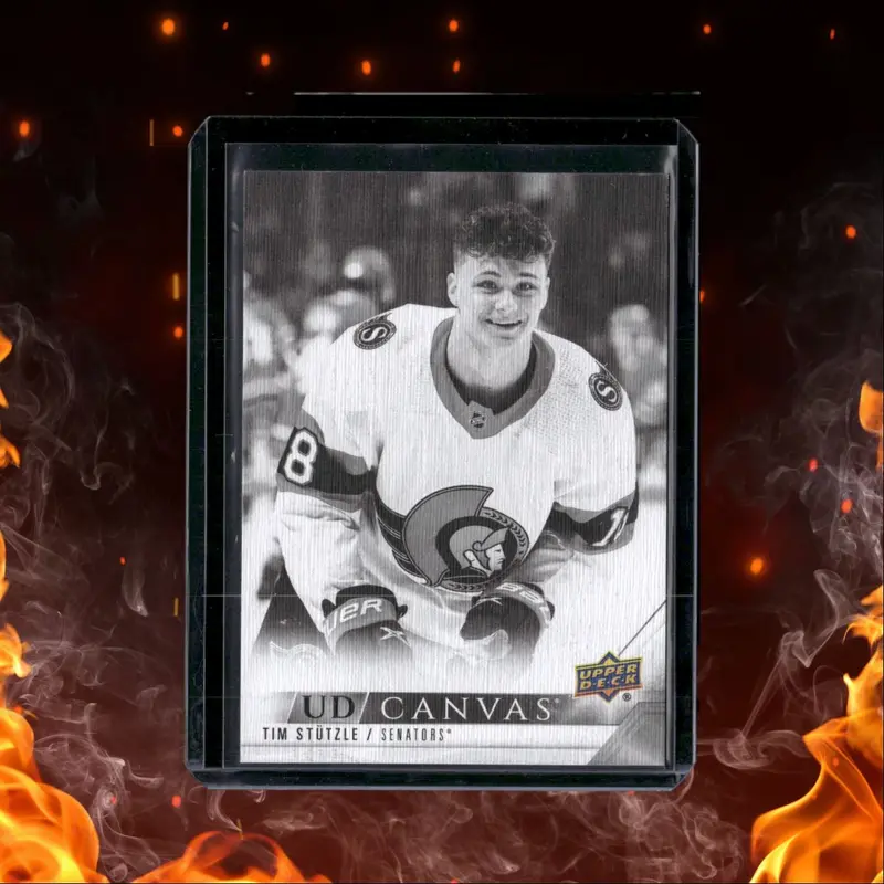 2022-23 Upper Deck UD Canvas Black Tim Sttzle #C179