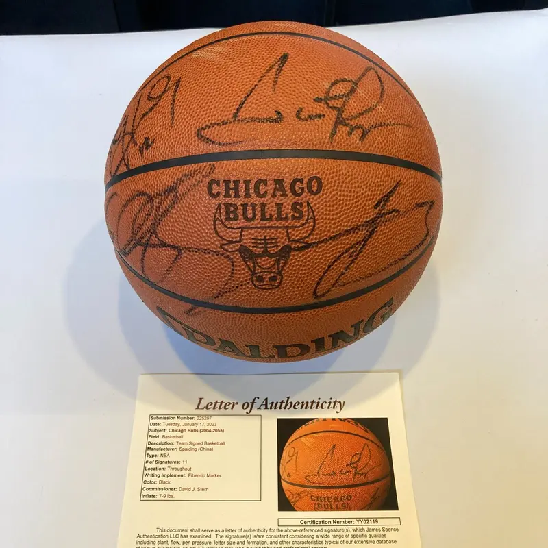 2004-05 Chicago Bulls Team Signed NBA Game Basketball Scottie Pippen JSA COA