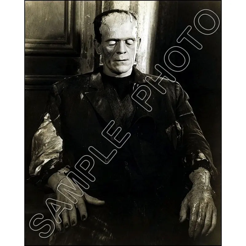 1935 Boris Karloff 8X10 Photo - Bride Of Frankenstein - 3204