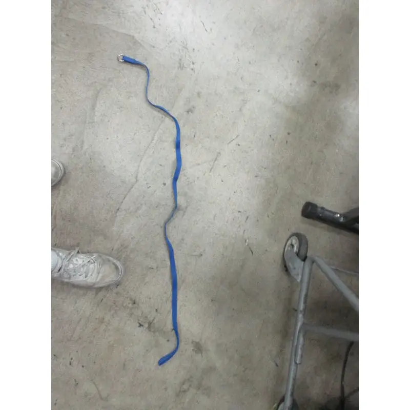 Used Blue Dog Leash