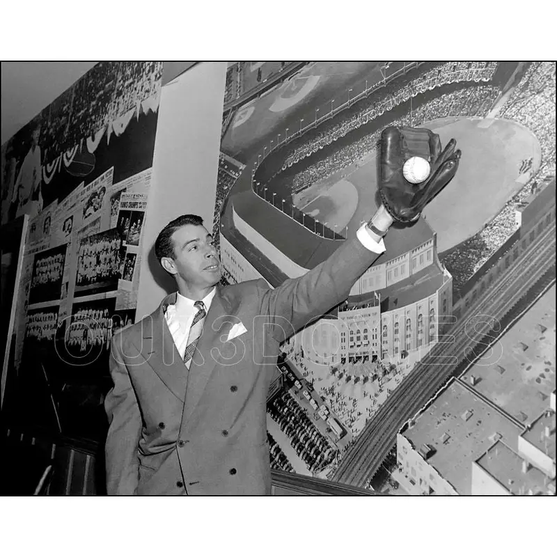 Joe Dimaggio 11X14 Photo - New York Yankees - 1326