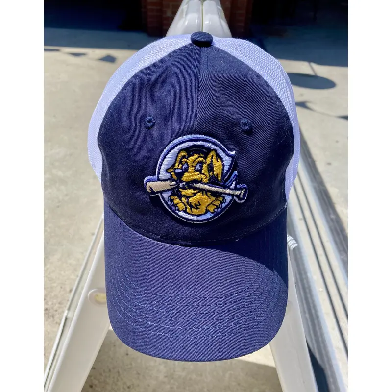 Charleston RiverDogs Navy/White Mesh Cap