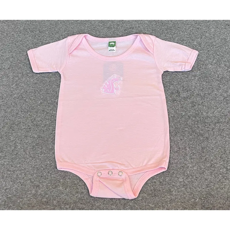 Pink Embroidered Baby Onesie