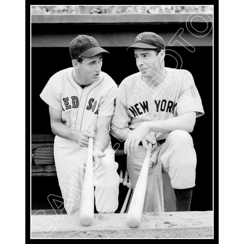 Ted Williams Joe Dimaggio 11X14 Photo - Red Sox Yankees - 2081